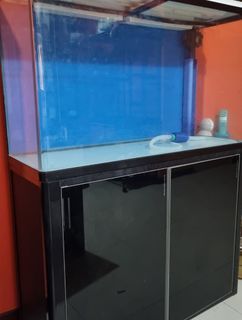 (Category: ) located in . Submitted by issha22 (Listing ID 1280240557, Image 1). Description: .
