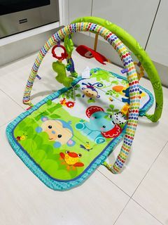 Fisher Price Activity Play Gym