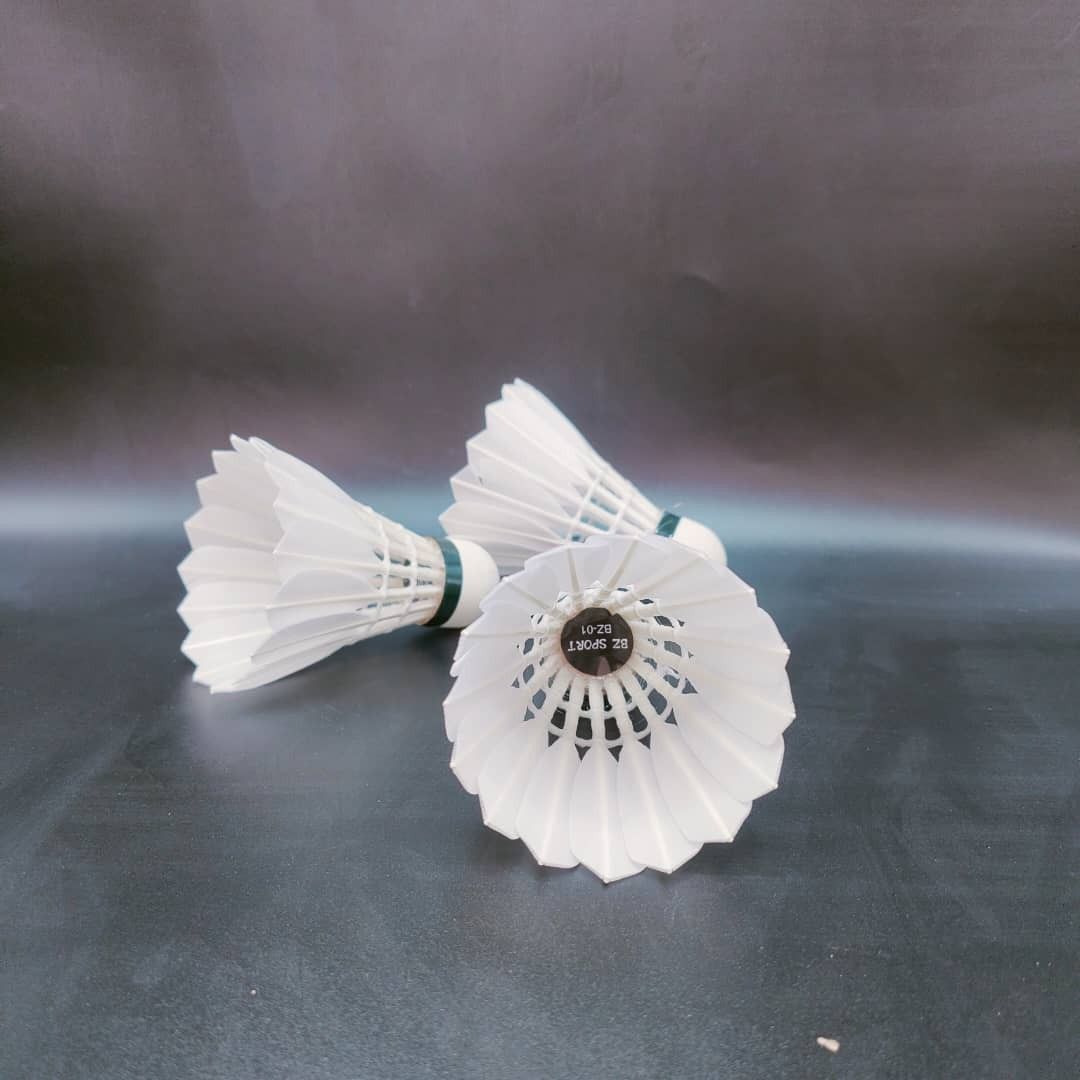 Shuttlecock cost deals
