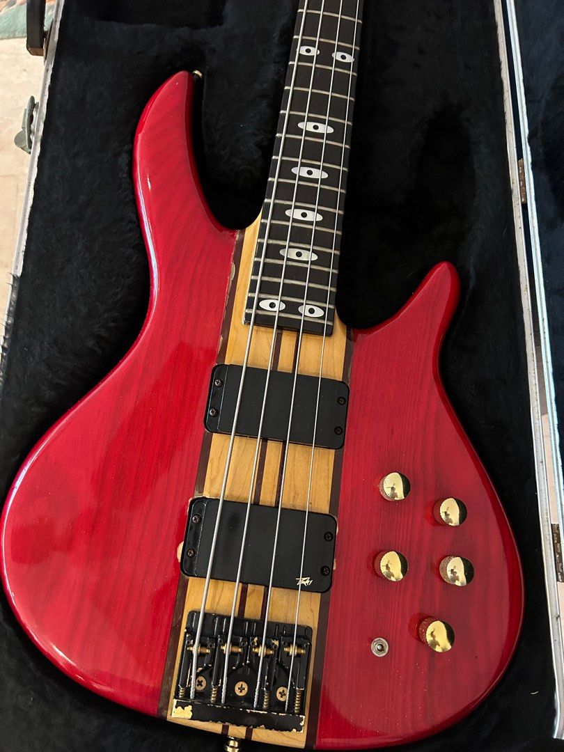 Peavey Rudy Sarzo signature bass with bartolini NTMB +F preamp, Hobbies