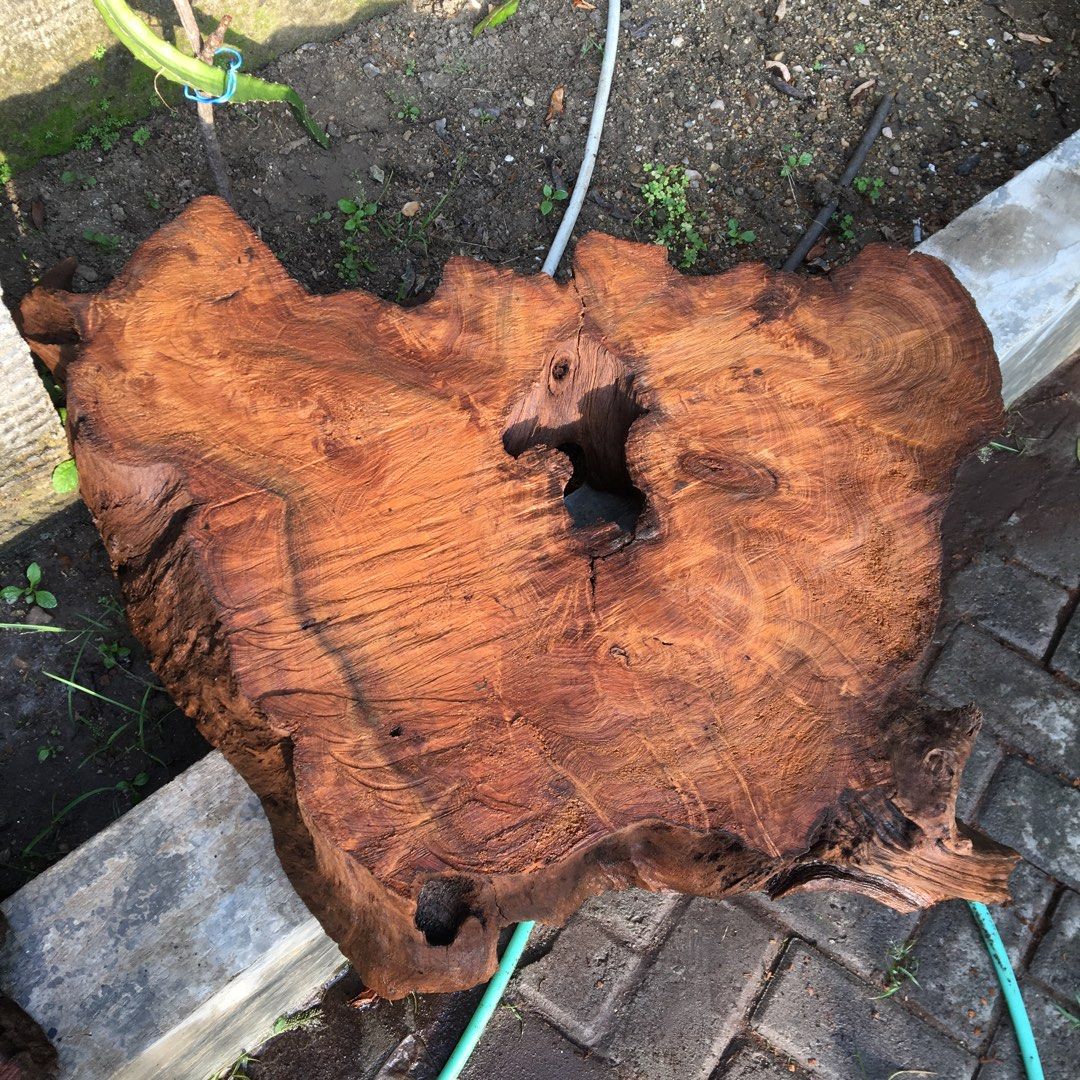 Daftar gambar galeri 0