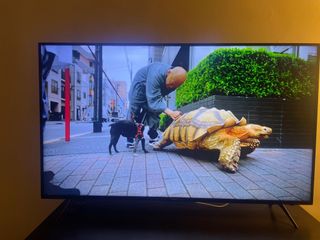（分類：）位於 。 由 vikki926 提交（商品編號 1280229489，圖片 1）。簡介： 。