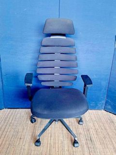 Spone ergonomic Chair