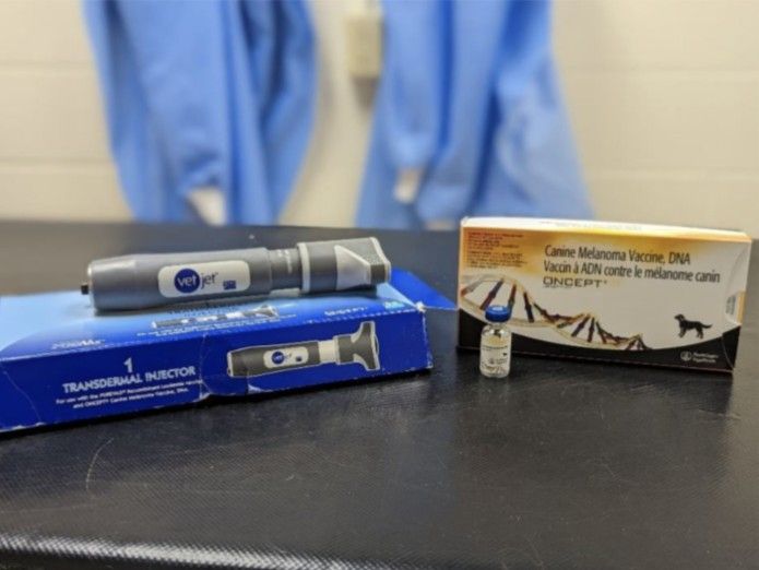 Vet Jet transdermal injector Oncept canine melanoma