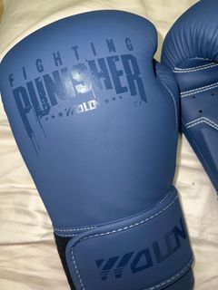 Wolon Punisher Leather Boxing Gloves