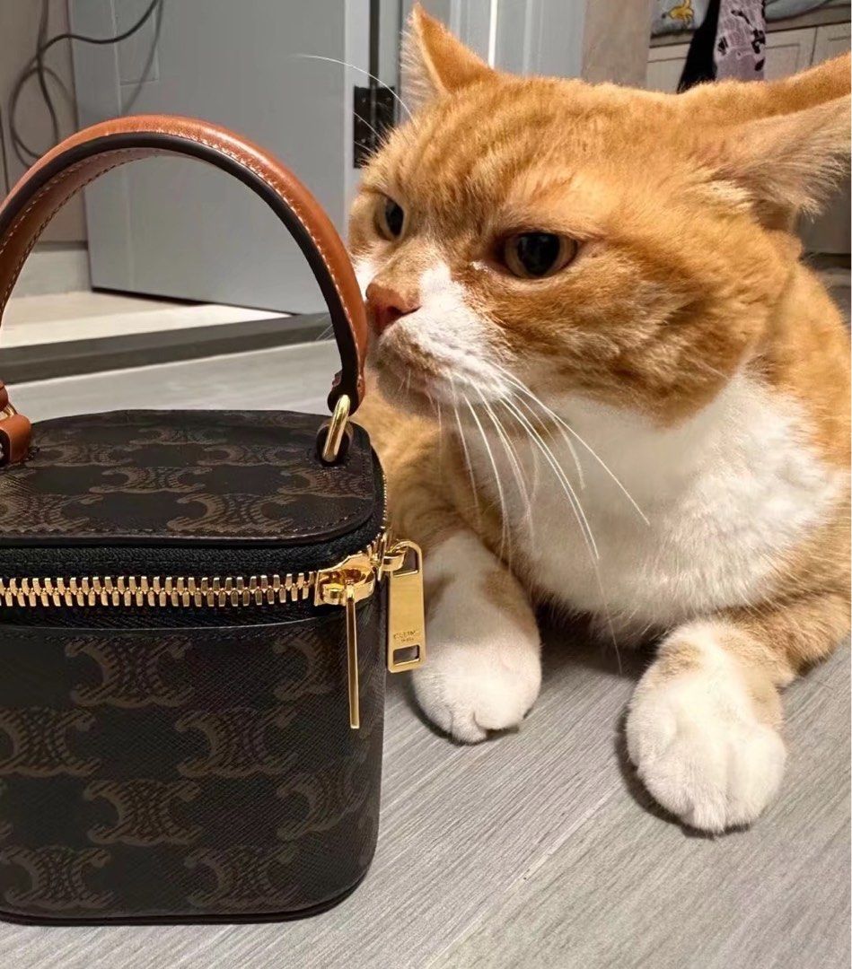 Celine mini box, 名牌, 手袋及銀包 - Carousell