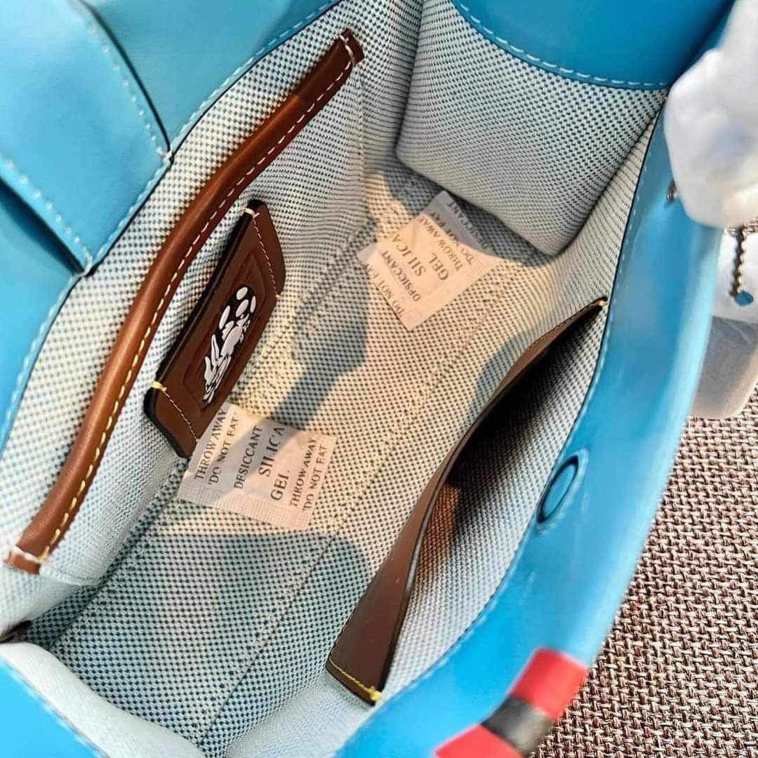 Coach Cashin Caryall x White Rabbit, Women's Fashion, Bags & Wallets ...