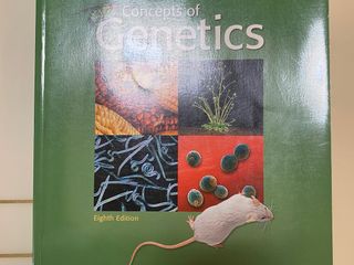 （分類：）位於 。 由 ryep1 提交（商品編號 1280365705，圖片 1）。簡介： 。