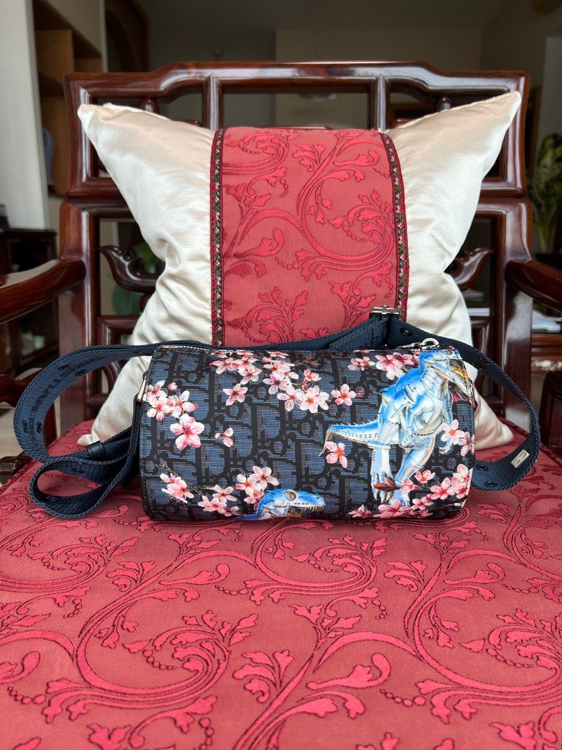 Dior sorayama deals bag