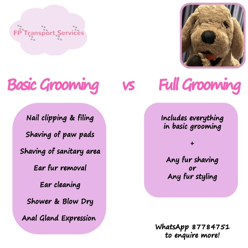 Dog Grooming Spa Services Lifestyle Services Pet Care Services