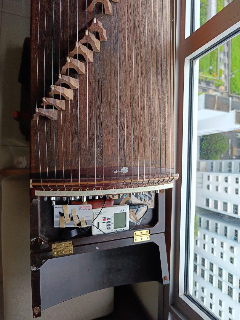 Guzheng Beginner, Hobbies & Toys, Music & Media, Musical Instruments on