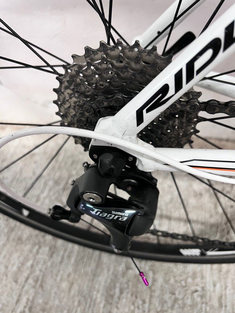 Ridley 2025 fenix a60