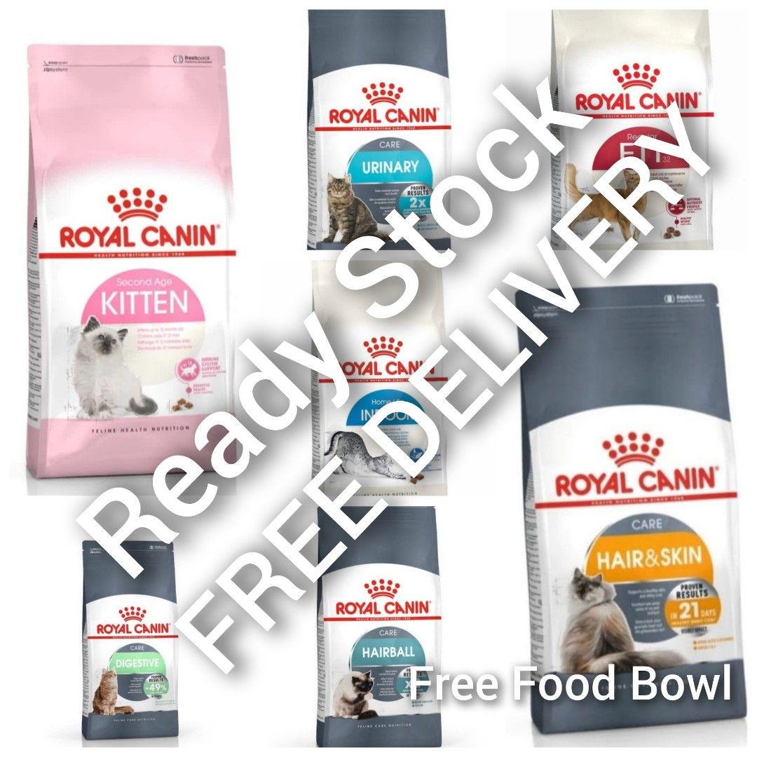 Rc hair and cheap skin kitten
