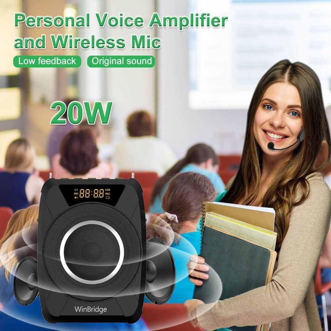 Personal mic cheap and speaker