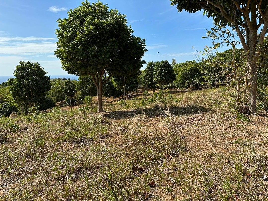 Bagac Bataan 52K Hectares, Property, For Sale, Lot on Carousell