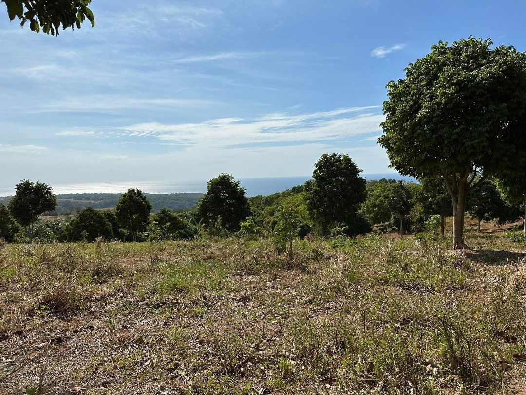 Bagac Bataan 52K Hectares, Property, For Sale, Lot on Carousell