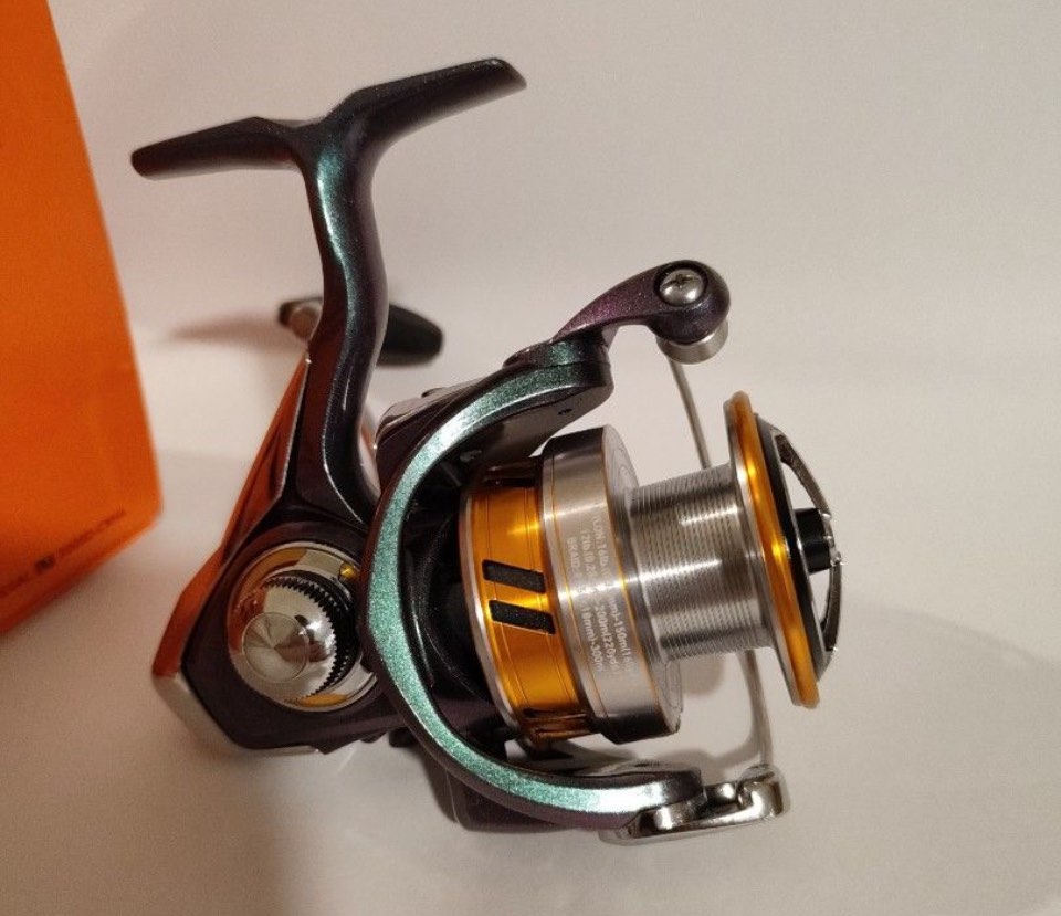 Daiwa Regal LT3000D-CXH Fishing Reel, Sports Equipment, Fishing on Carousell