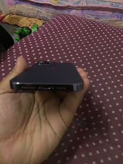 (Category: ) located in . Submitted by anieldaniel (Listing ID 1280685087, Image 1). Description: .