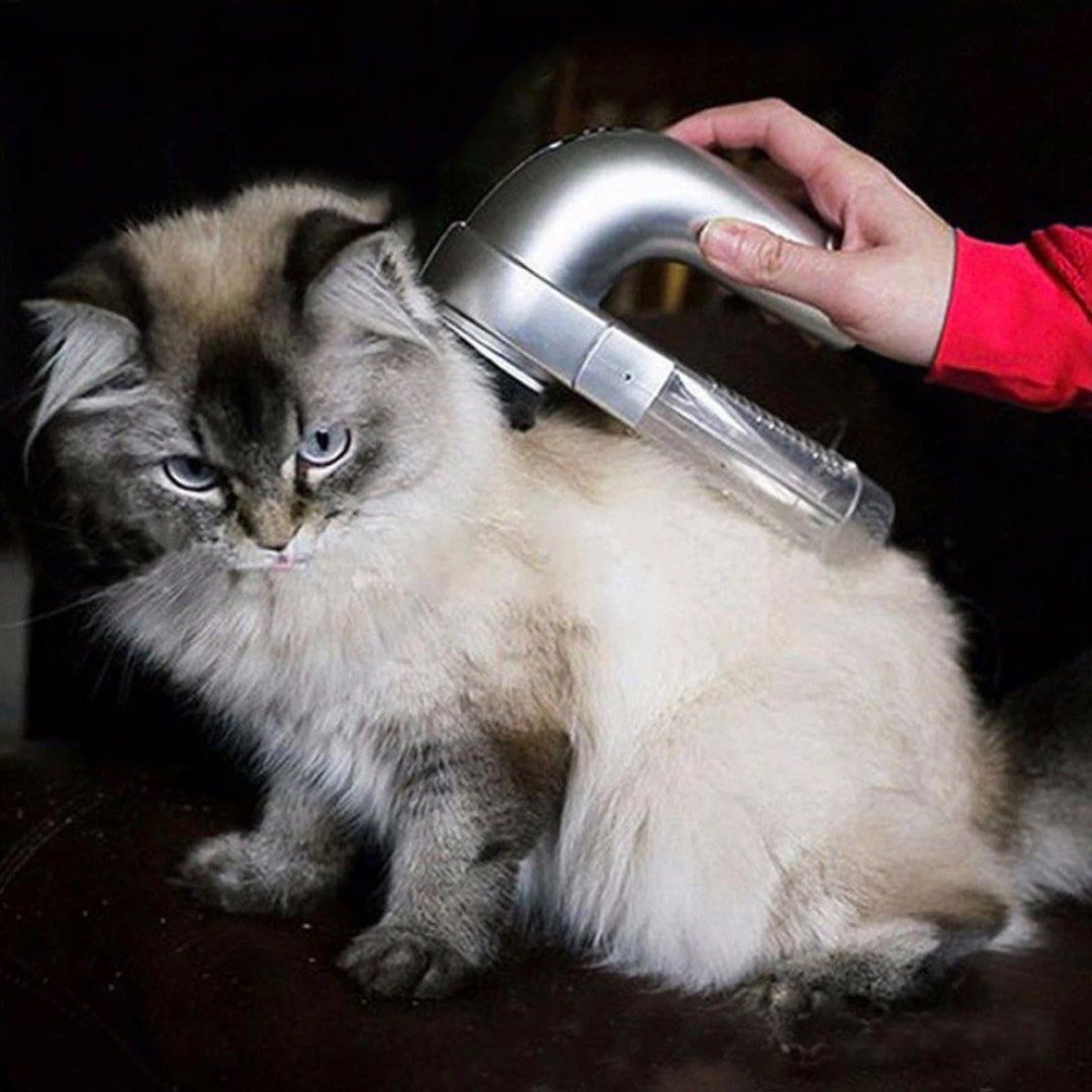 Electric pet hair best sale remover