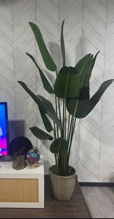 (Category: ) located in . Submitted by zarakid (Listing ID 1276147021, Image 1). Description: .