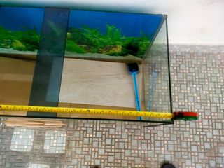 Simple Minimalist Aquarium /Aqua terrarium set with fishes (easy