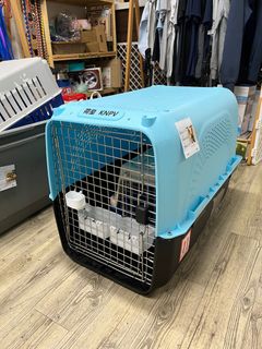 （分類：）位於 。 由 hkdr_official 提交（商品編號 1275975936，圖片 1）。簡介： 。