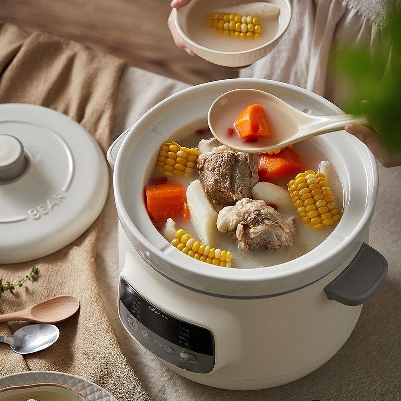 Bear hotsell electric pot