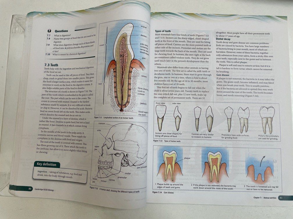 Cambridge IGCSE Biology CourseBook (3rd edition), Hobbies & Toys, Books