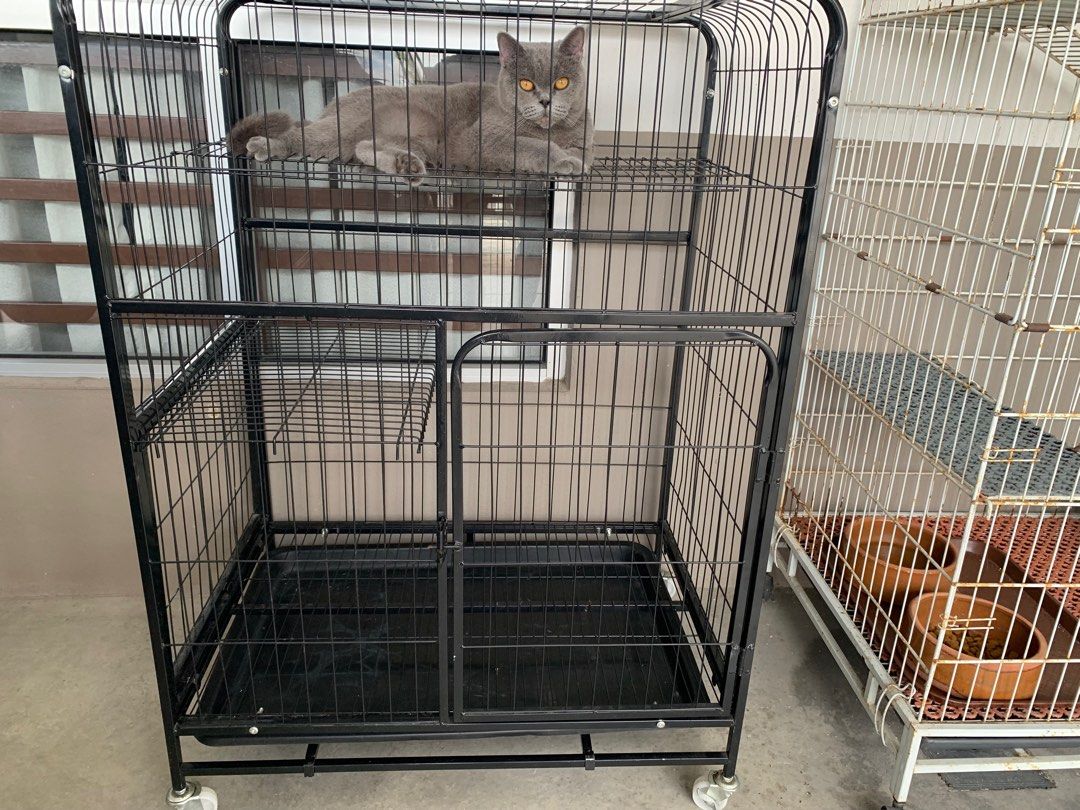 Cat Cage
