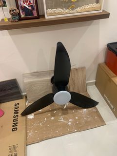 (Category: ) located in . Submitted by fren4ever (Listing ID 1275956582, Image 1). Description: .