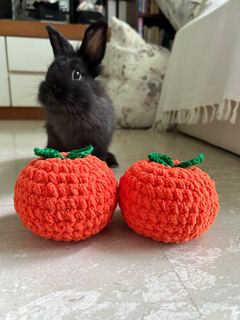 (Category: ) located in . Submitted by cari_crochets (Listing ID 1275567715, Image 1). Description: .