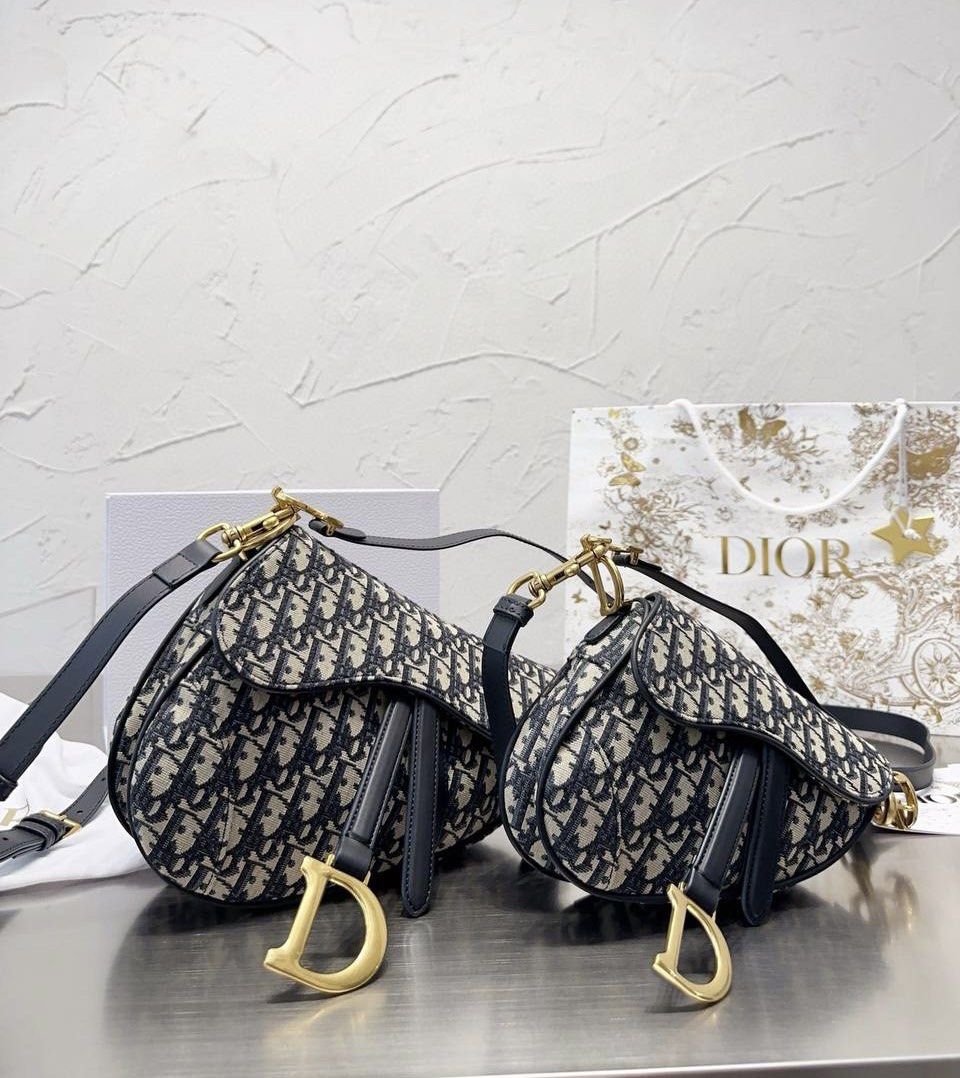 Dior saddle sales bag sale