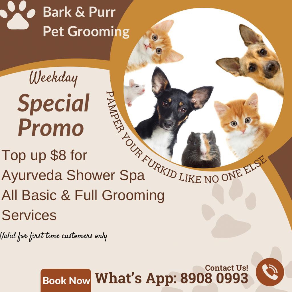 Pet spa dog and cat store grooming