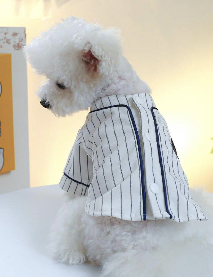 Dog baseball outfit discount