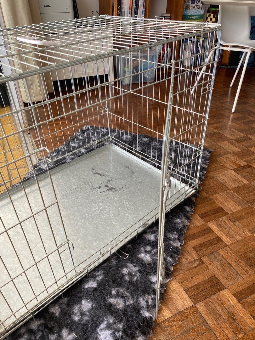 Ellie bo 42 inch dog 2025 crate