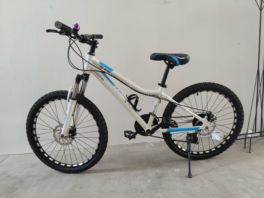 Pazzaz 24 inch cheap diamond rigid bike