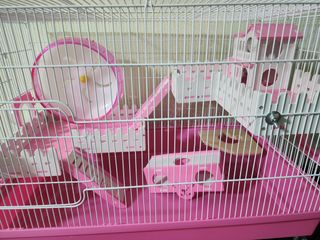 (Category: ) located in . Submitted by wang0152792482 (Listing ID 1276019527, Image 1). Description: .