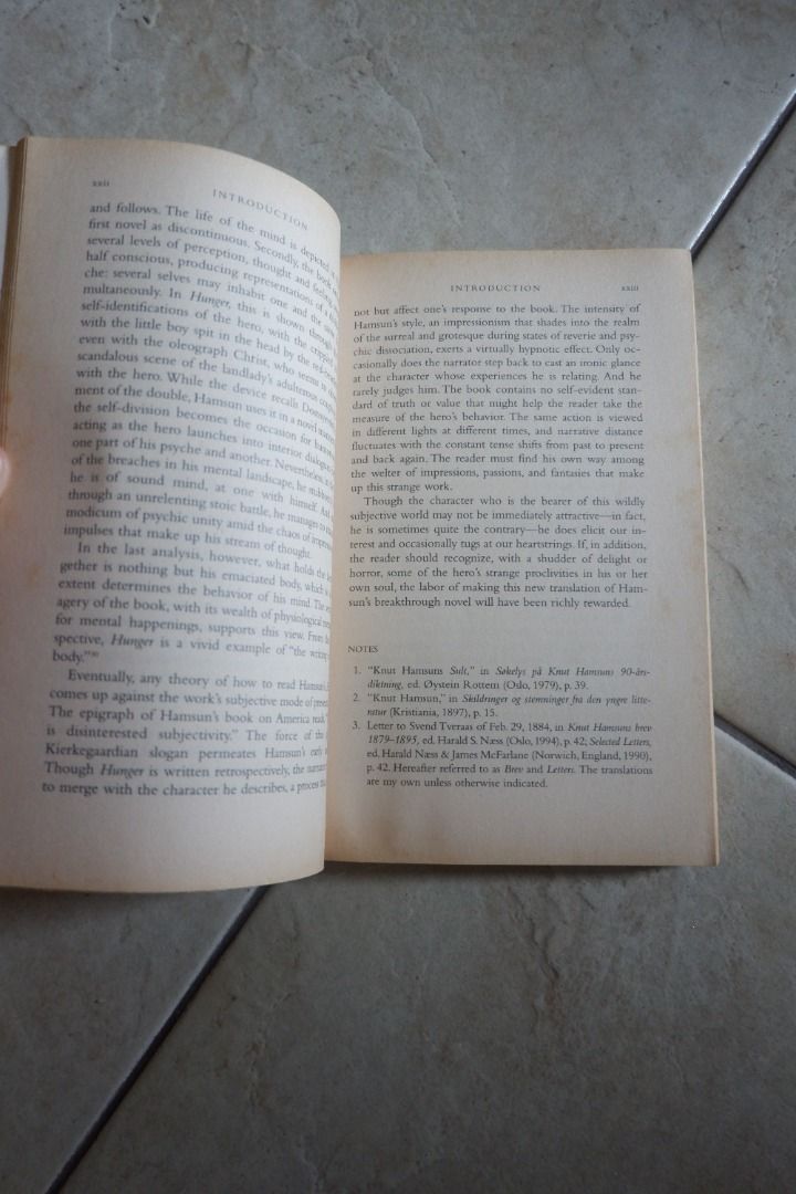 Hunger by Knut Hamsun, Hobbies & Toys, Books & Magazines, Fiction & Non ...