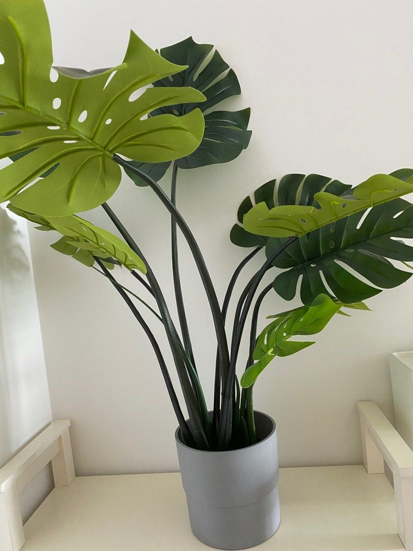 IKEA FEJKA plant(19cm) + NYPON plant pot (19cm), Furniture & Home Living,  Home Decor Accessories, Artificial Plants & Flowers on Carousell