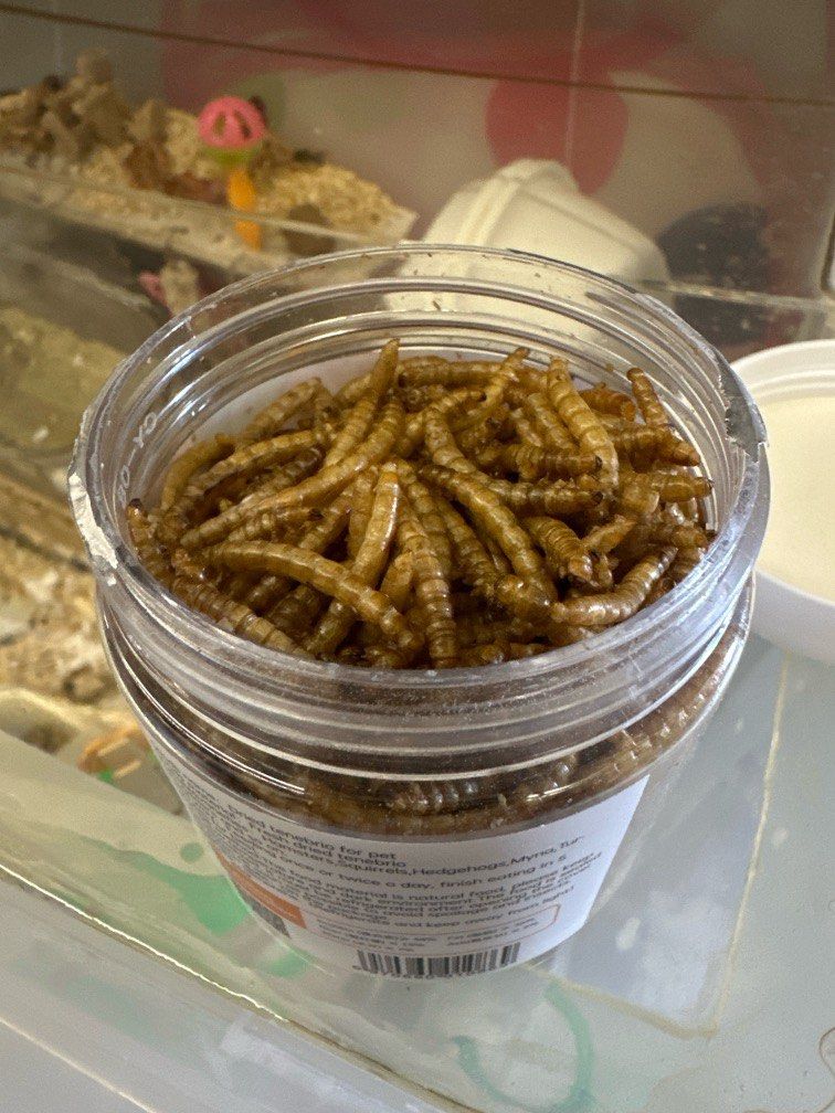 Dried mealworms store for hamsters