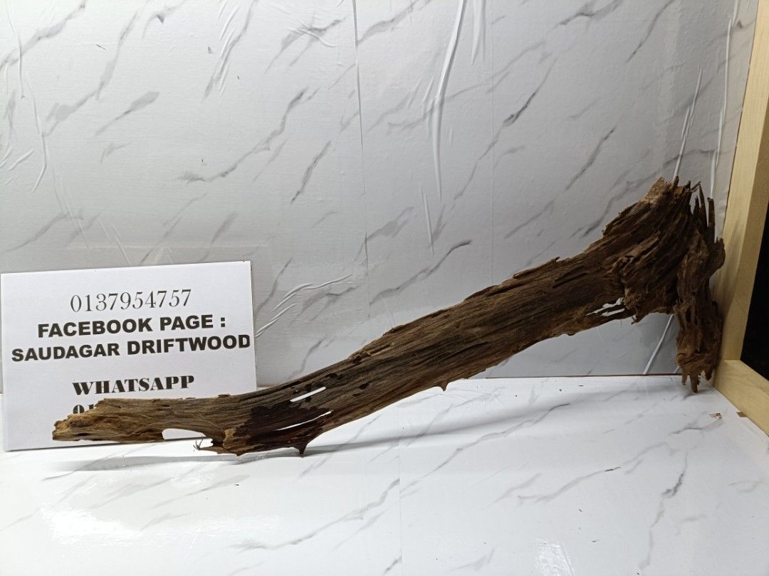 Malaysian driftwood, Pet Supplies, Homes & Other Pet Accessories on Carousell