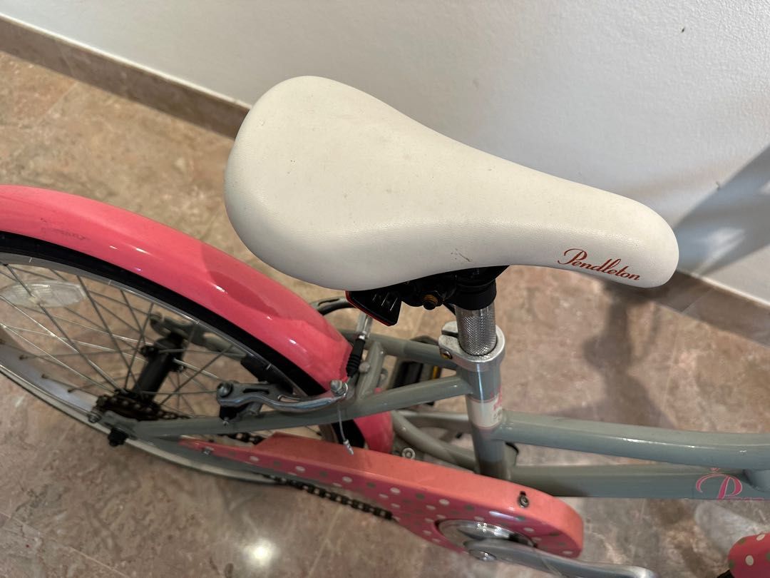 16 inch hotsell pendleton bike