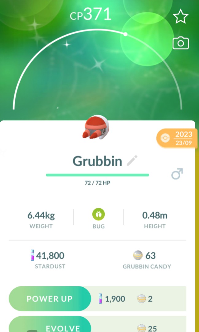 Pokemon Go shiny grubbin, Video Gaming, Gaming Accessories, InGame