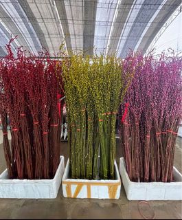 (Category: ) located in . Submitted by gardenfunfarm (Listing ID 1275899153, Image 1). Description: .