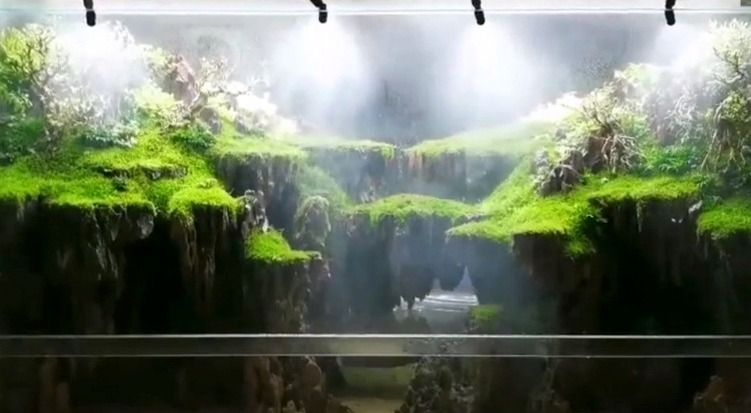 Terrarium Vivarium smart mister for plants pets frog ants moss