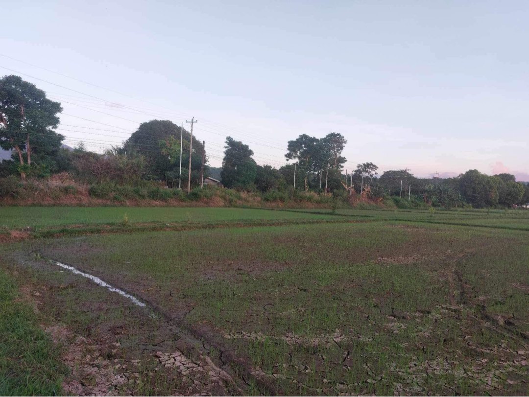 Brgy nagbalayong morong bataan lot for sale‼️, Property, For Sale, Lot