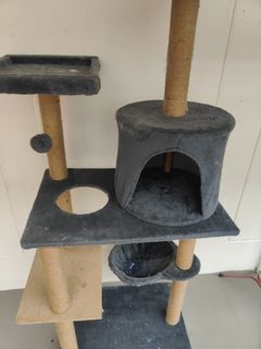 (Category: ) located in . Submitted by cathy83 (Listing ID 1280885977, Image 1). Description: .