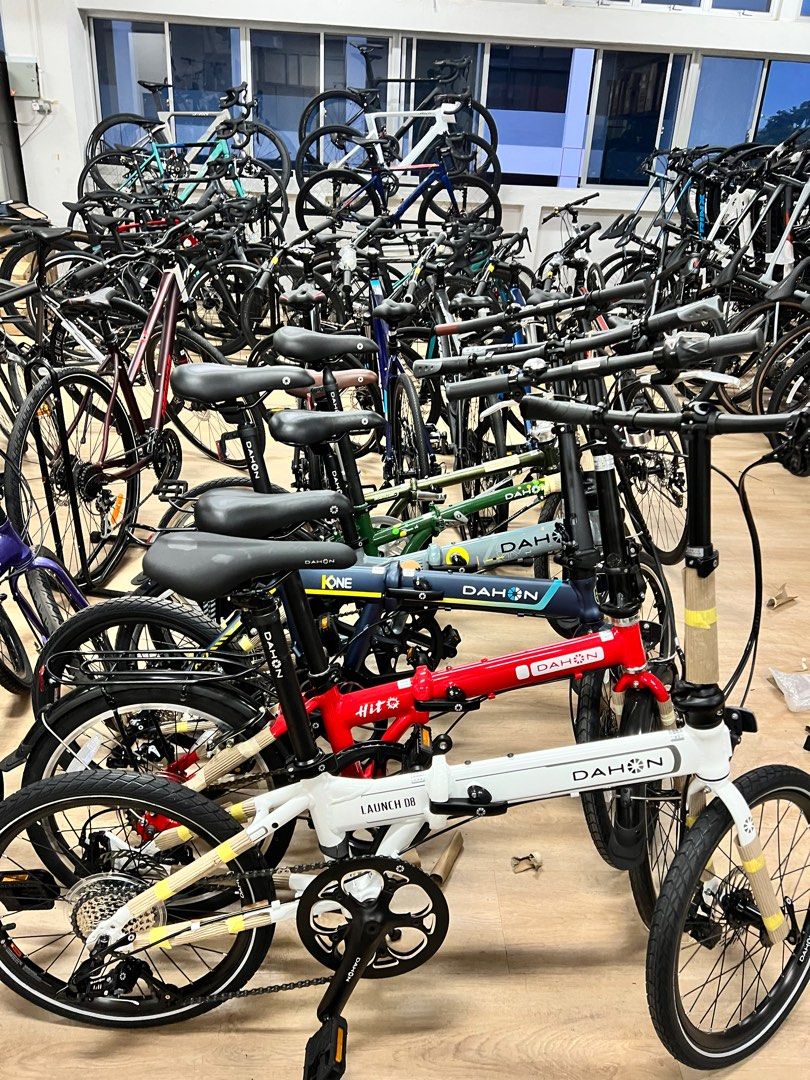 Dahon fnhon best sale