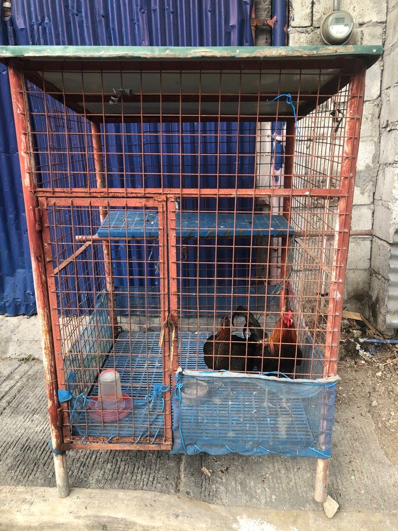 Stainless dog cage olx online
