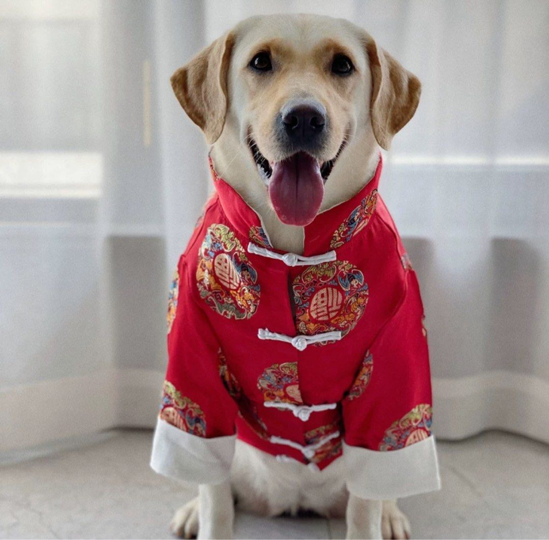 Dog clothes chinese new year Pet Supplies Homes Other Pet